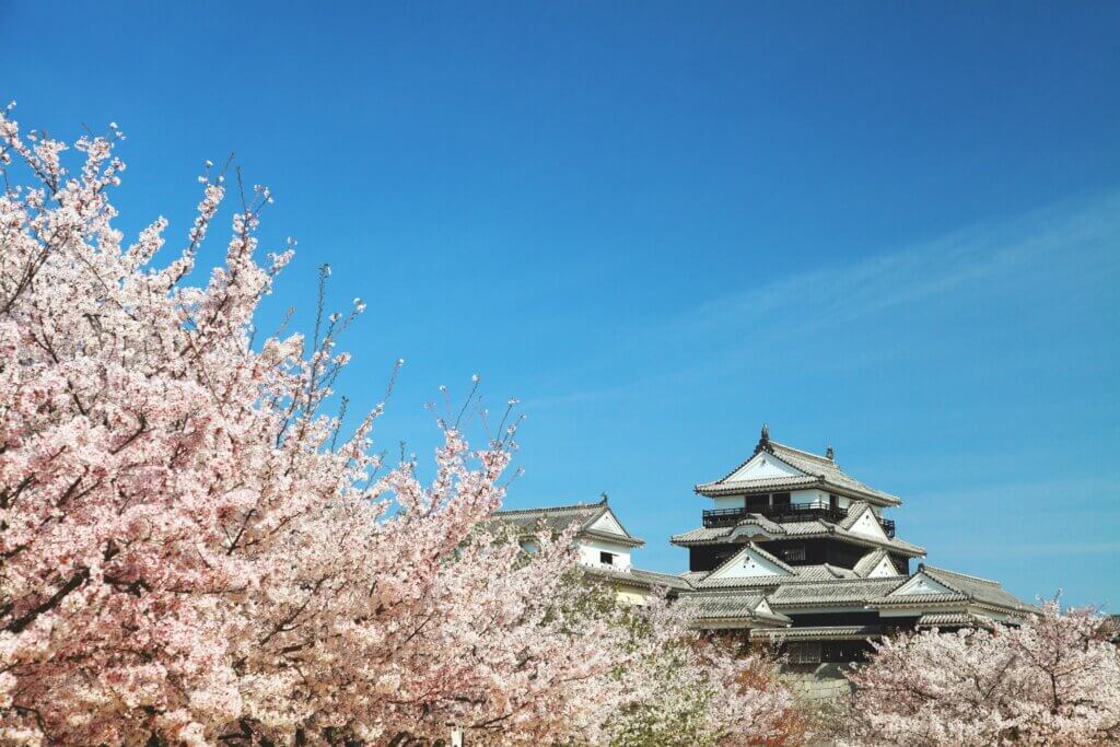 Matsuyama-Castle