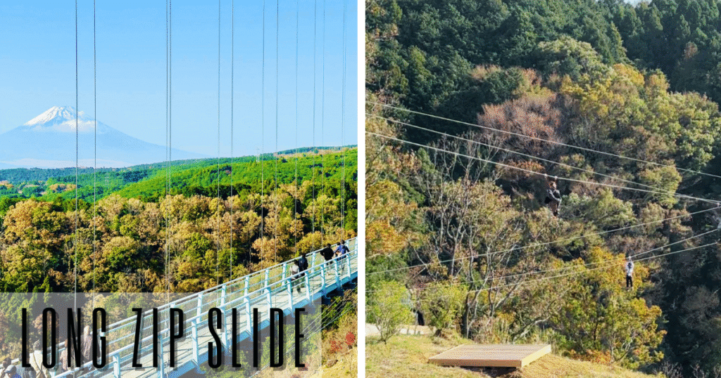 Long Zip Slide