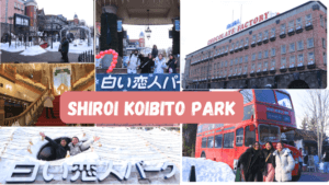 shiroi koibito park