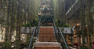 hotel moon beach