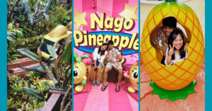 nago pineapple park