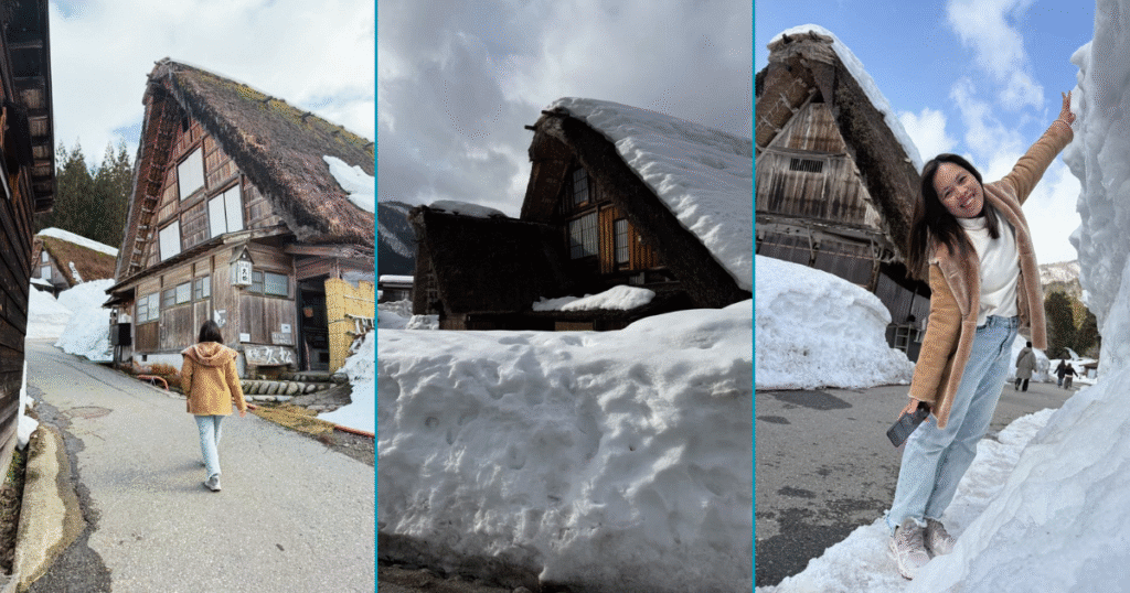 Shirakawa go old houses