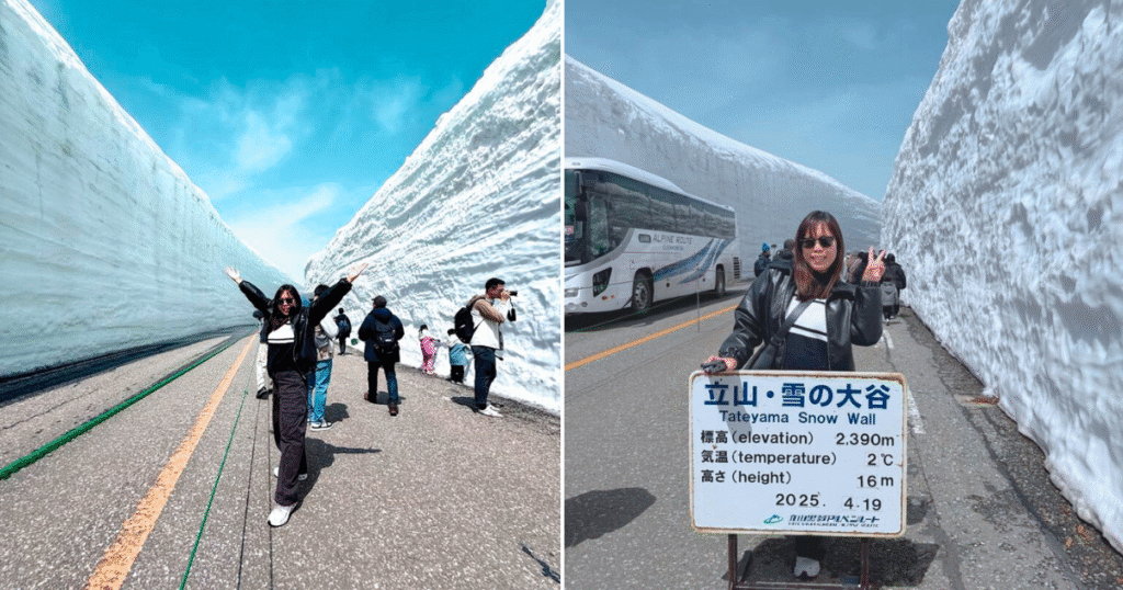 Tateyama Snow corridor