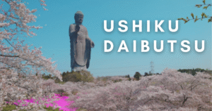 Ushiku daibutsu during sakura season