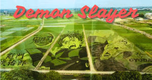 gyoda rice paddy art japan cover