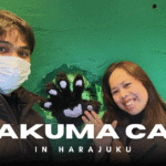 anakuma cafe harajuku cover