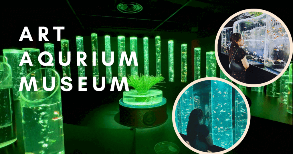 art aqurium museum