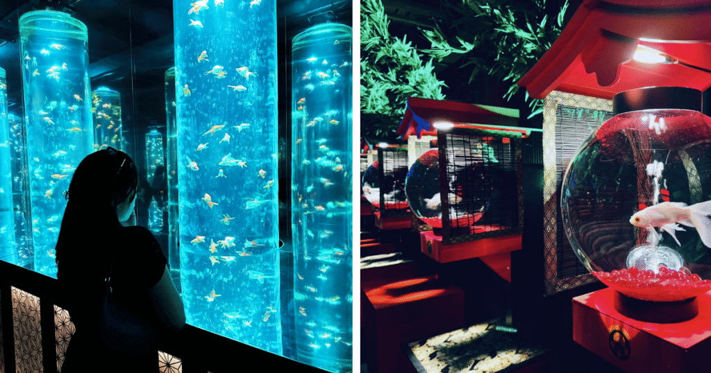 art aquarium museum