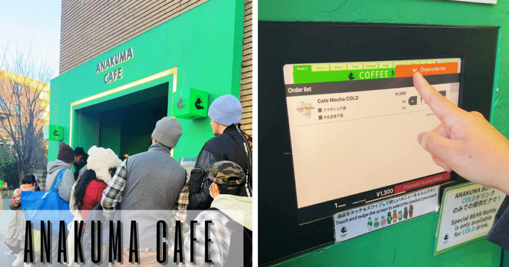 how to order at anakuma cafe harajuku