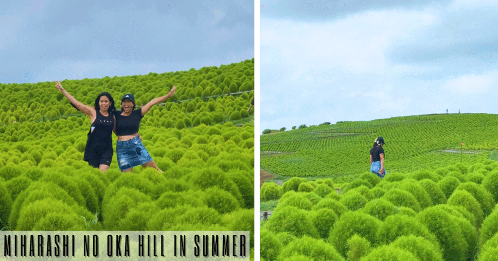 Miharashi no oka hill in summer