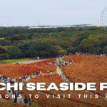 hitachi seaside park