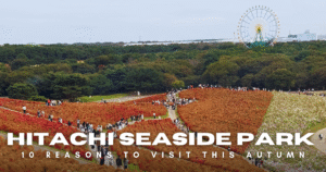 hitachi seaside park