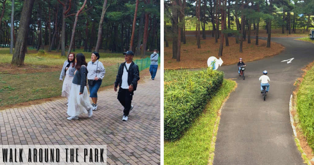 walk around hitachi seaside park