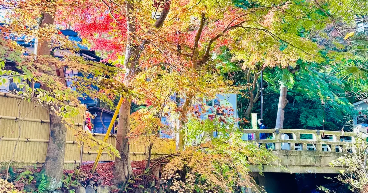Along the way to Sanroku Station